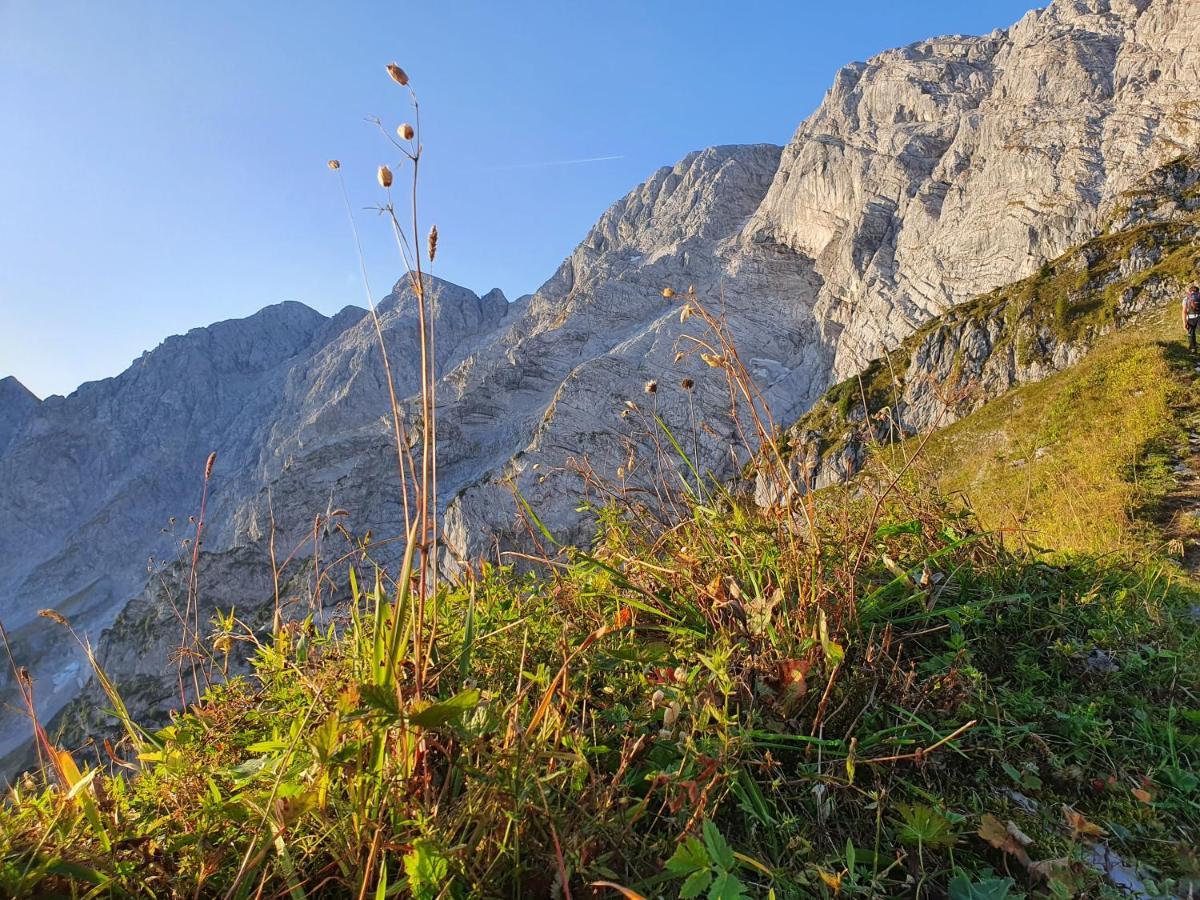 Ferienwohnungen Gaestehaus Laercheck Берхтесгаден Экстерьер фото
